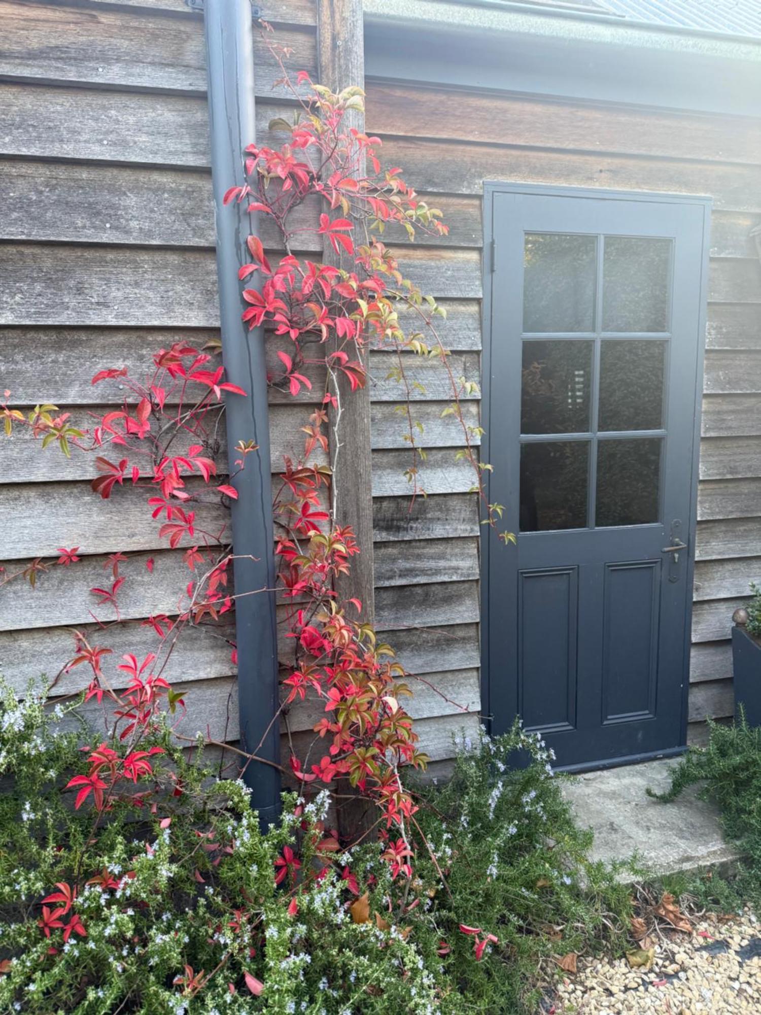 Elm Cottage Barn Oatlands Exterior foto